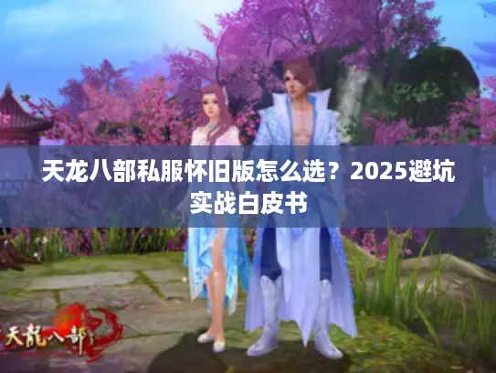 天龙八部私服怀旧版怎么选?2025避坑实战白皮书 天龙八部私服怀旧版怎么选?2025避坑实战白皮书