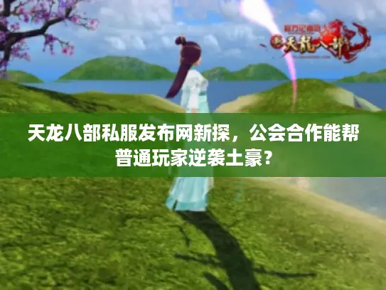 天龙八部私服发布网新探，公会合作能帮普通玩家逆袭土豪？