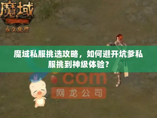 魔域私服挑选攻略，如何避开坑爹私服挑到神级体验？