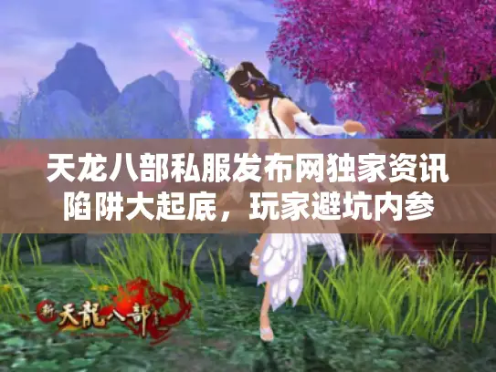 天龙八部私服发布网独家资讯陷阱大起底，玩家避坑内参