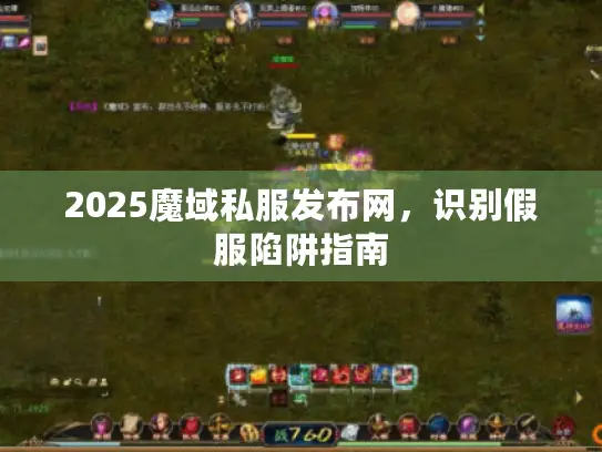 2025魔域私服发布网,识别假服陷阱指南 2025魔域私服发布网,识别假服陷阱指南