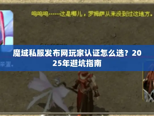 魔域私服发布网玩家认证怎么选？2025年避坑指南
