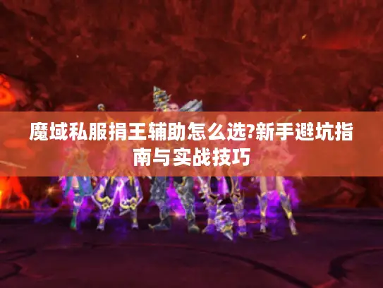 魔域私服捐王辅助怎么选?新手避坑指南与实战技巧