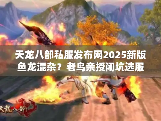天龙八部私服发布网2025新版鱼龙混杂？老鸟亲授闭坑选服三绝招