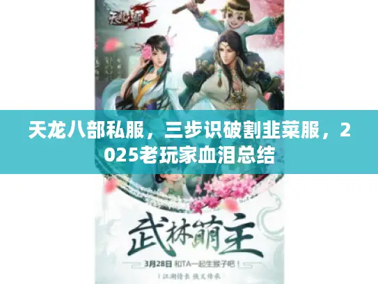 天龙八部私服，三步识破割韭菜服，2025老玩家血泪总结