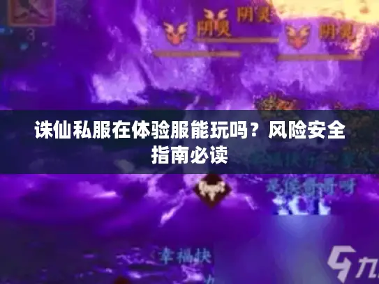诛仙私服在体验服能玩吗？风险安全指南必读