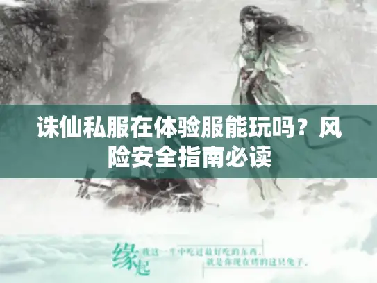 诛仙私服在体验服能玩吗？风险安全指南必读