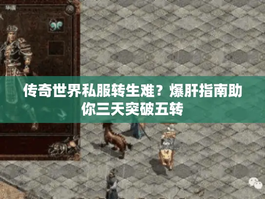 传奇世界私服转生难？爆肝指南助你三天突破五转