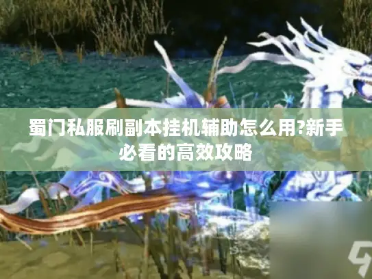 蜀门私服刷副本挂机辅助怎么用?新手必看的高效攻略