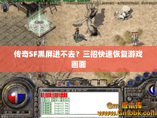传奇SF黑屏进不去？三招快速恢复游戏画面