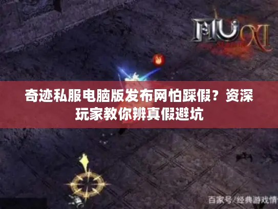 奇迹私服电脑版发布网怕踩假？资深玩家教你辨真假避坑