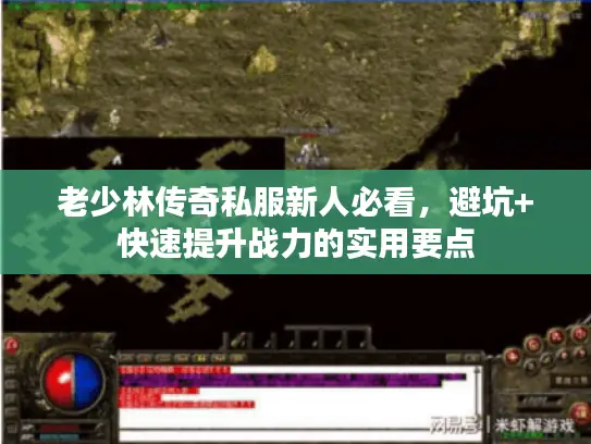 老少林传奇私服新人必看,避坑+快速提升战力的实用要点 老少林传奇私服新人必看,避坑+快速提升战力的实用要点