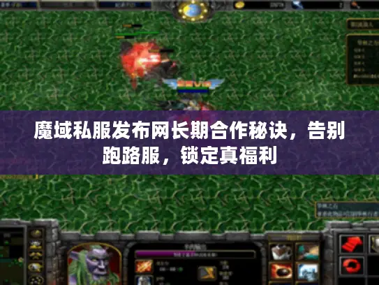 魔域私服发布网长期合作秘诀，告别跑路服，锁定真福利