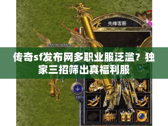 传奇sf发布网多职业服泛滥？独家三招筛出真福利服