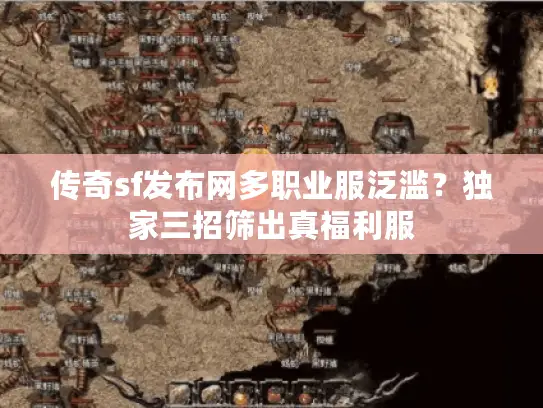 传奇sf发布网多职业服泛滥？独家三招筛出真福利服