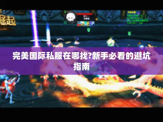 完美国际私服在哪找?新手必看的避坑指南 完美国际私服在哪找?新手必看的避坑指南