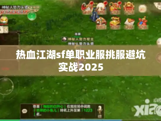 热血江湖sf单职业服挑服避坑实战2025 热血江湖sf单职业服挑服避坑实战2025