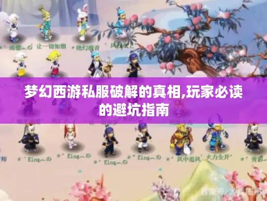 梦幻西游私服破解的真相,玩家必读的避坑指南