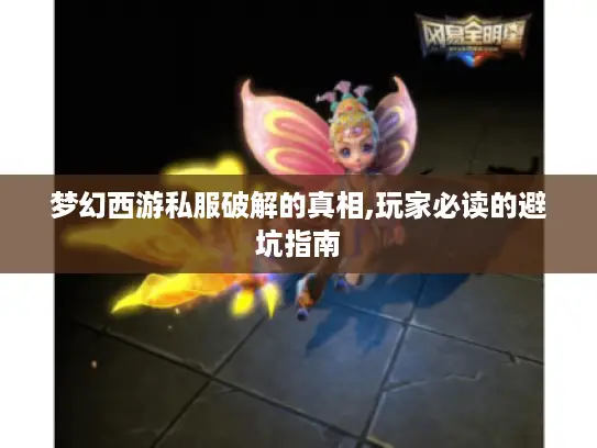 梦幻西游私服破解的真相,玩家必读的避坑指南