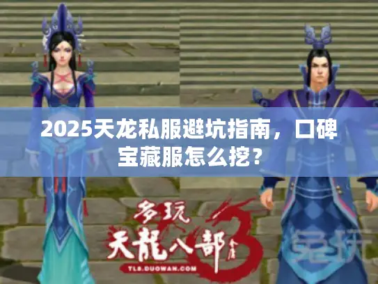 2025天龙私服避坑指南，口碑宝藏服怎么挖？