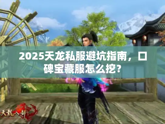 2025天龙私服避坑指南，口碑宝藏服怎么挖？
