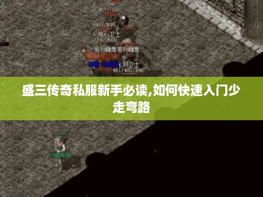 盛三传奇私服新手必读,如何快速入门少走弯路