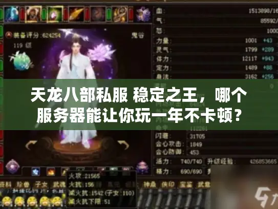 天龙八部私服 稳定之王，哪个服务器能让你玩一年不卡顿？