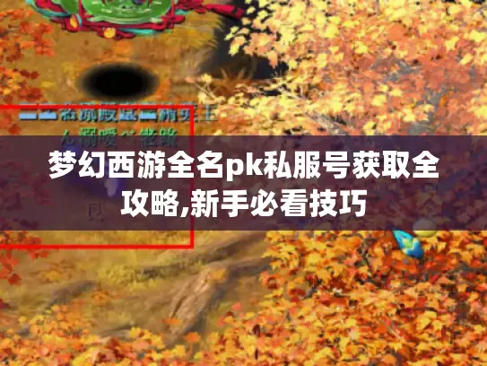 梦幻西游全名pk私服号获取全攻略,新手必看技巧