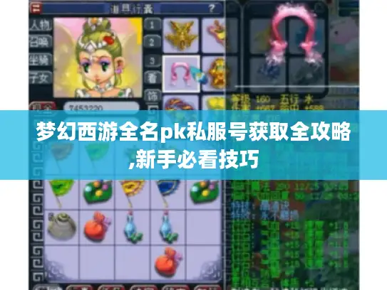 梦幻西游全名pk私服号获取全攻略,新手必看技巧