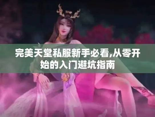 完美天堂私服新手必看,从零开始的入门避坑指南