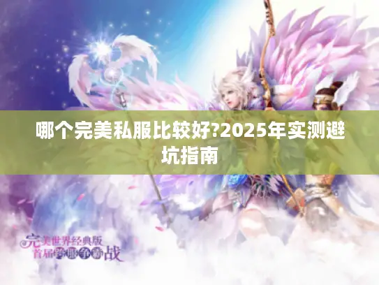 哪个完美私服比较好?2025年实测避坑指南