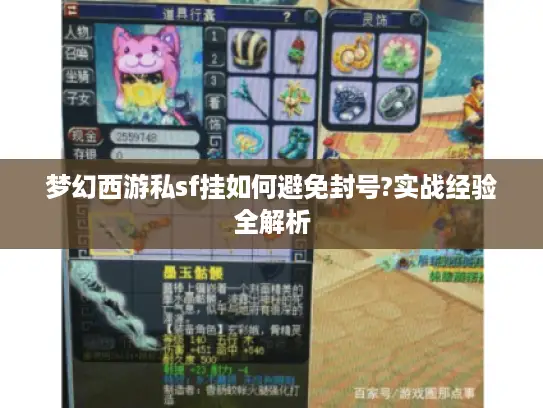 梦幻西游私sf挂如何避免封号?实战经验全解析