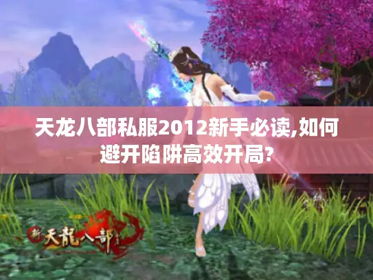 天龙八部私服2012新手必读,如何避开陷阱高效开局?