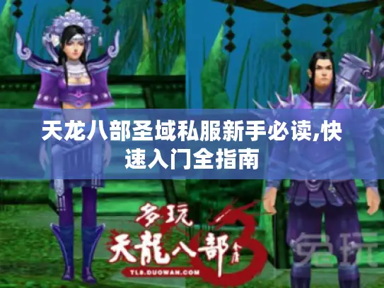 天龙八部圣域私服新手必读,快速入门全指南