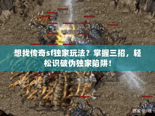 想找传奇sf独家玩法？掌握三招，轻松识破伪独家陷阱！