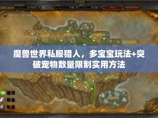 魔兽世界私服猎人，多宝宝玩法+突破宠物数量限制实用方法