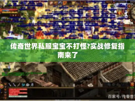 传奇世界私服宝宝不打怪?实战修复指南来了