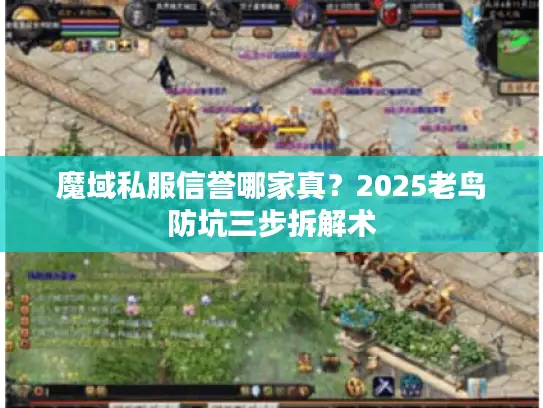 魔域私服信誉哪家真？2025老鸟防坑三步拆解术