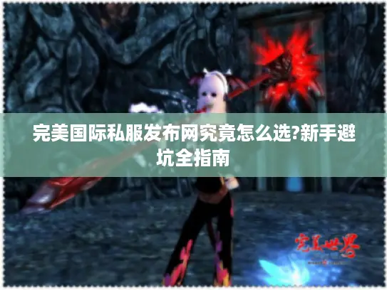 完美国际私服发布网究竟怎么选?新手避坑全指南
