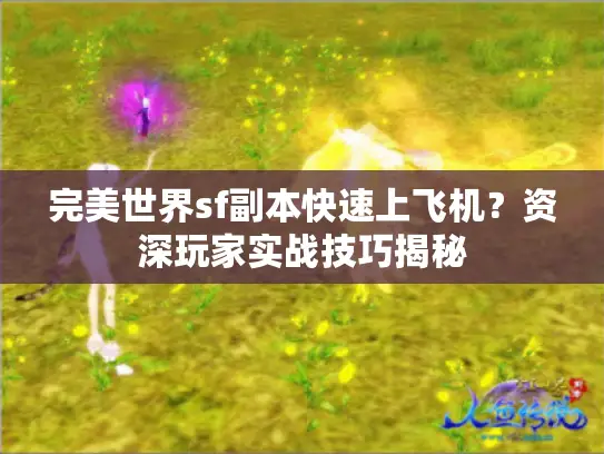 完美世界sf副本快速上飞机？资深玩家实战技巧揭秘