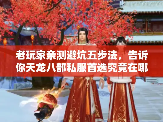 老玩家亲测避坑五步法，告诉你天龙八部私服首选究竟在哪！