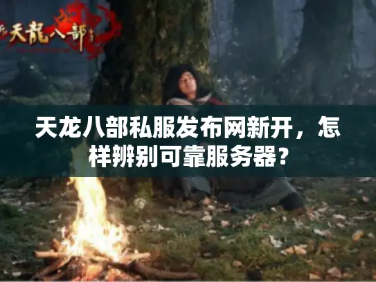天龙八部私服发布网新开，怎样辨别可靠服务器？