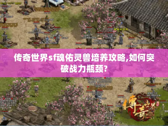 传奇世界sf魂佑灵兽培养攻略,如何突破战力瓶颈?