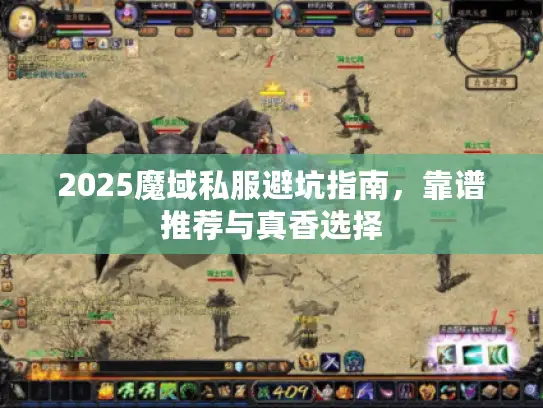 2025魔域私服避坑指南，靠谱推荐与真香选择