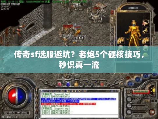 传奇sf选服避坑?老炮5个硬核技巧,秒识真一流 传奇sf选服避坑?老炮5个硬核技巧,秒识真一流