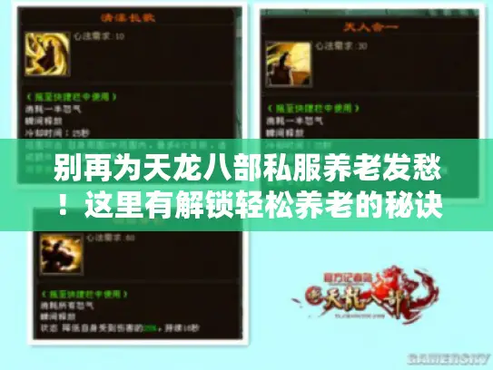 别再为天龙八部私服养老发愁！这里有解锁轻松养老的秘诀