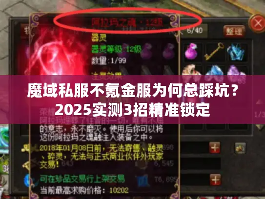 魔域私服不氪金服为何总踩坑?2025实测3招精准锁定 魔域私服不氪金服为何总踩坑?2025实测3招精准锁定